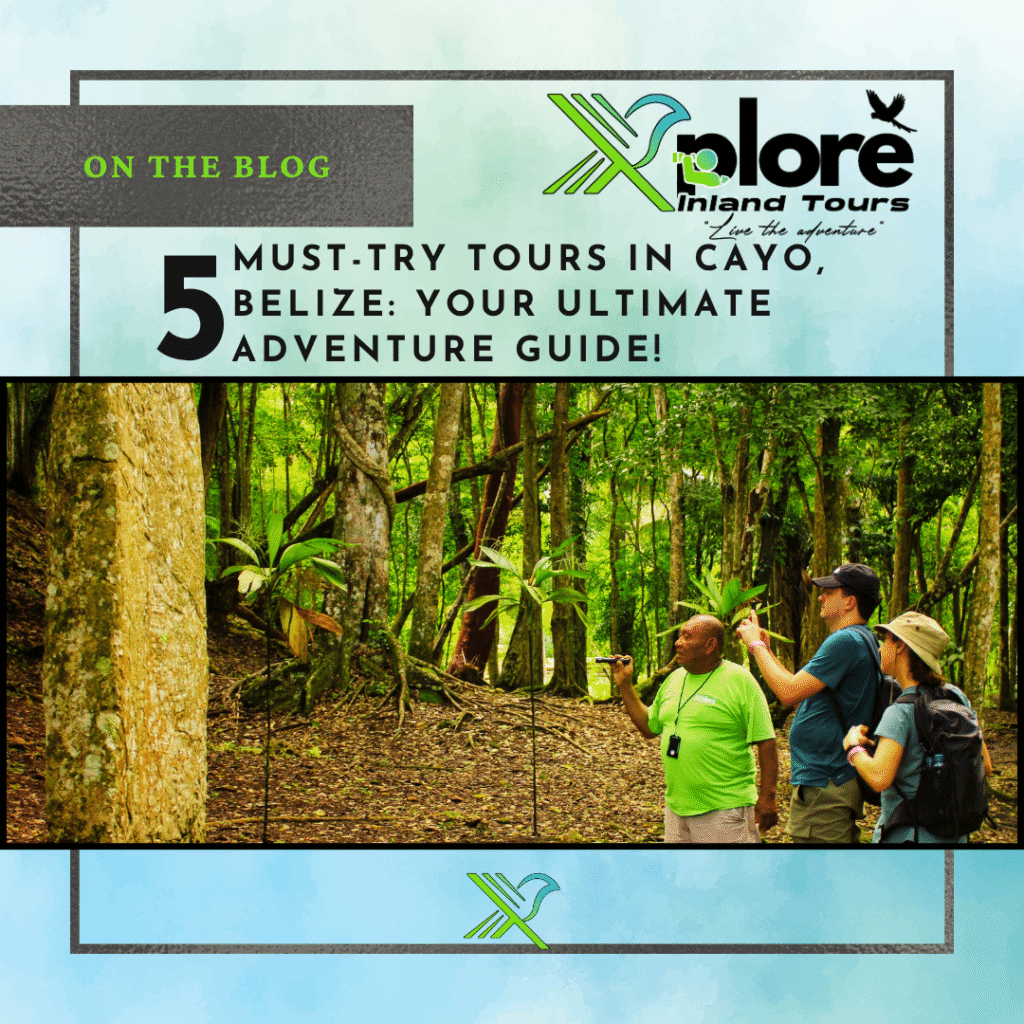 Guided jungle tour in Cayo Belize with visitors exploring lush trails and ancient Maya ruins