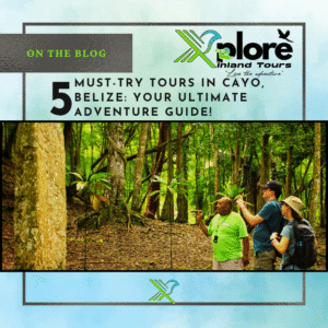 Guided jungle tour in Cayo Belize with visitors exploring lush trails and ancient Maya ruins